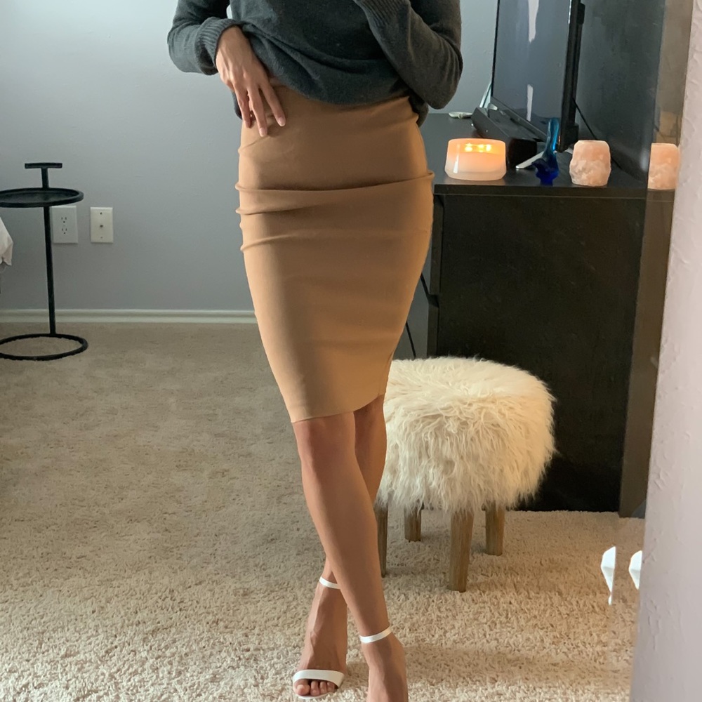 Perigee pencil skirt